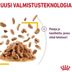 Royal Canin Sensory Taste kastikkeessa
