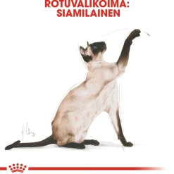Royal Canin Siamese Adult