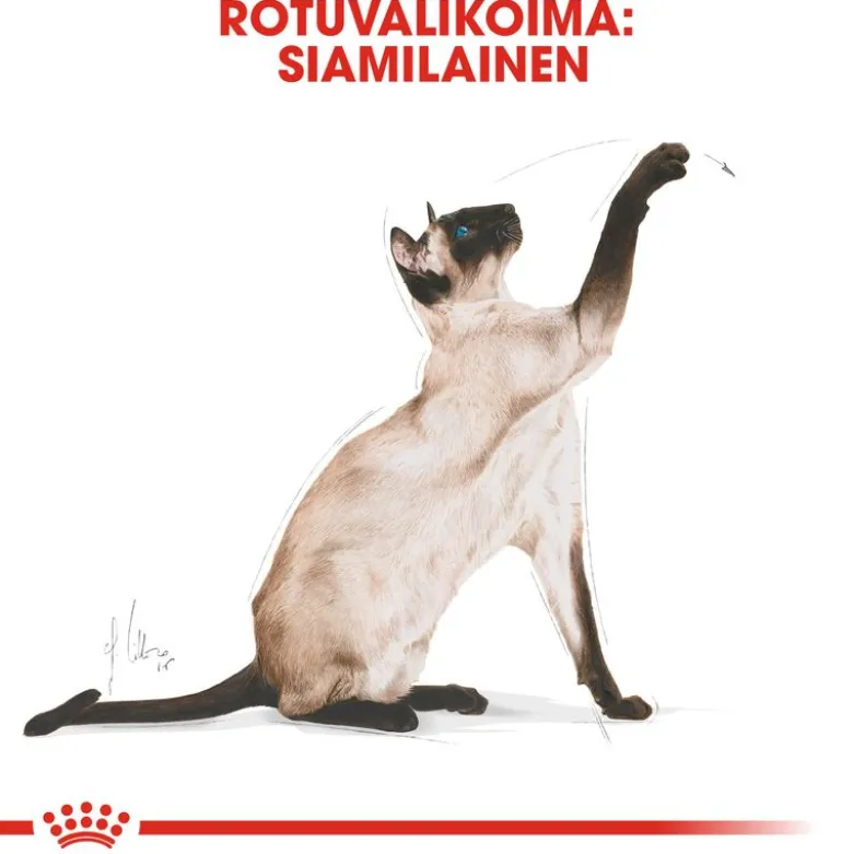 Royal Canin Siamese Adult