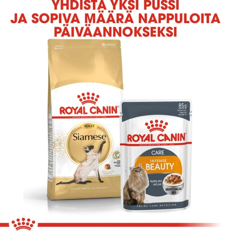 Royal Canin Siamese Adult