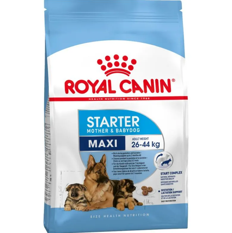 Royal Canin Size -säästöpakkaus