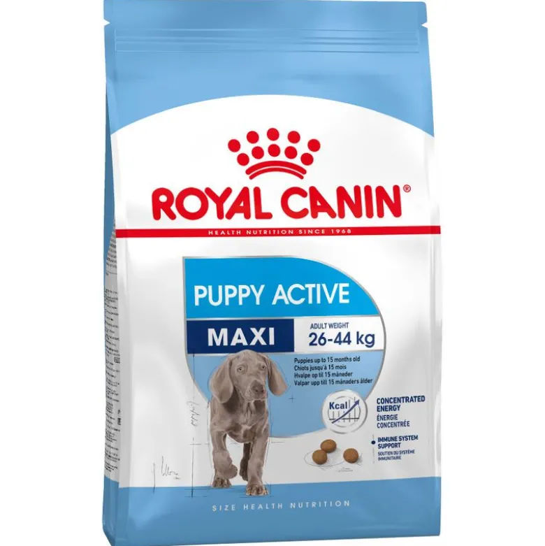 Royal Canin Size -säästöpakkaus