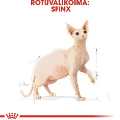 Royal Canin Sphynx Adult