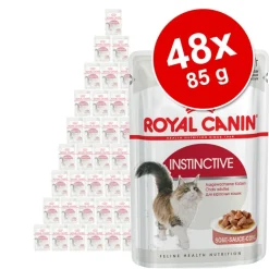 Royal Canin -säästöpakkaus 48 x 85 g