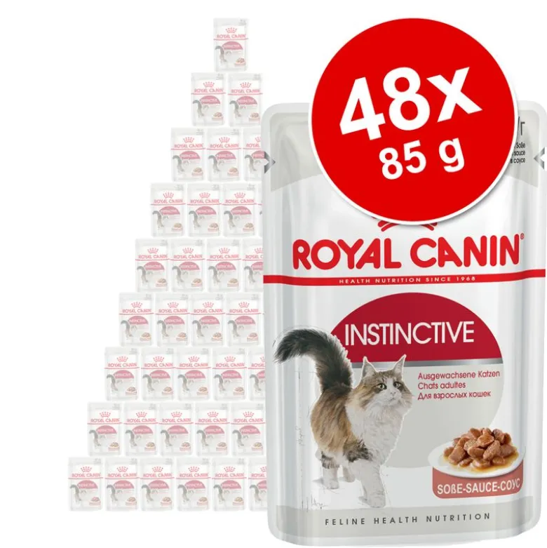 Royal Canin -säästöpakkaus 48 x 85 g