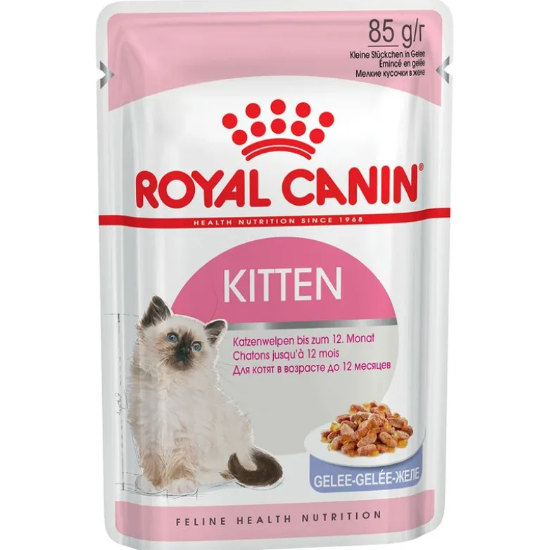 Royal Canin -säästöpakkaus 48 x 85 g