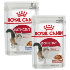 Royal Canin -säästöpakkaus 24 x 85 g: Jelly + Gravy
