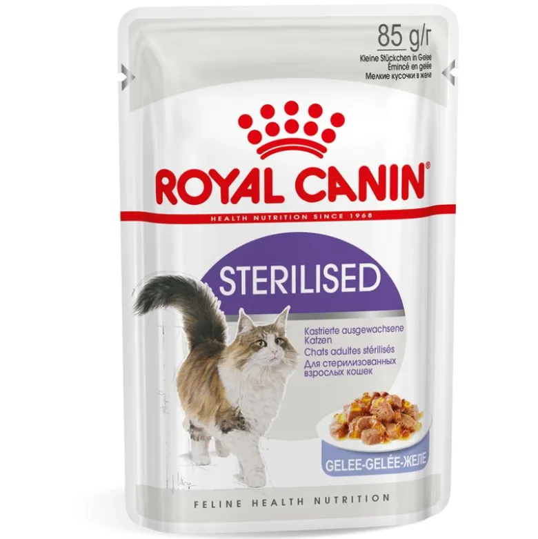 Royal Canin Sterilised hyytelössä