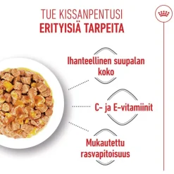 Royal Canin Sterilised Kitten kastikkeessa