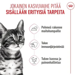 Royal Canin Sterilised Kitten kastikkeessa