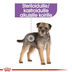 Royal Canin Sterilised Mousse