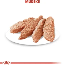 Royal Canin Sterilised Mousse
