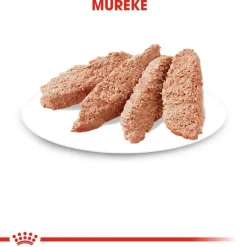 Royal Canin Sterilised Mousse