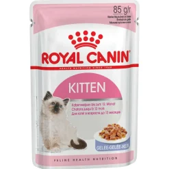 Royal Canin -suursäästöpakkaus 96 x 85 g