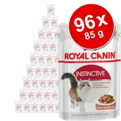 Royal Canin -suursäästöpakkaus 96 x 85 g