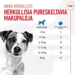 Royal Canin Training Treats