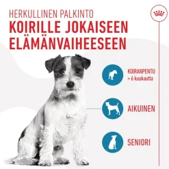 Royal Canin Training Treats