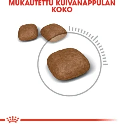 Royal Canin Urinary Care