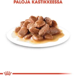 Royal Canin Urinary Care kastikkeessa
