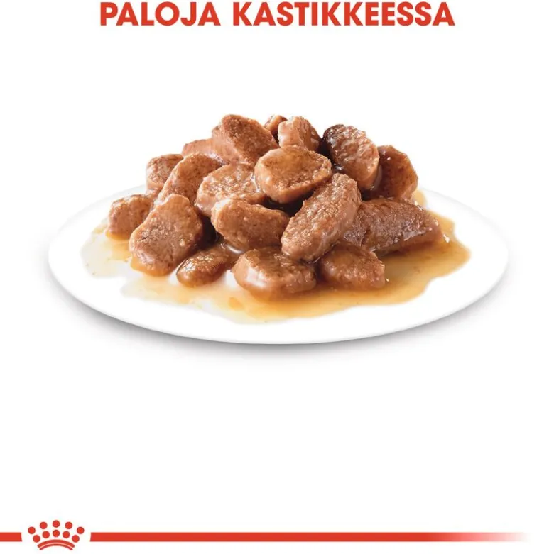 Royal Canin Urinary Care kastikkeessa
