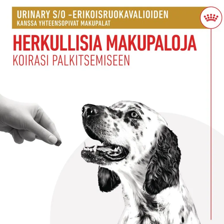Royal Canin Urinary Snacks