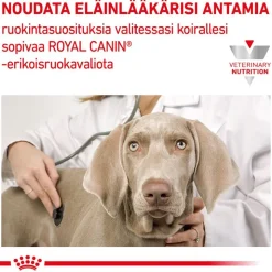 Royal Canin Veterinary Canine Renal kastikkeessa
