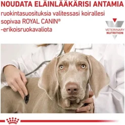 Royal Canin Veterinary Canine Early Renal kastikkeessa