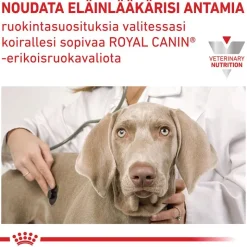 Royal Canin Veterinary Canine Urinary S/O Ageing 7+ Mousse