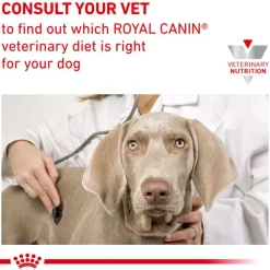 Royal Canin Veterinary Canine Anallergenic