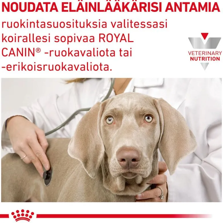 Royal Canin Veterinary Canine Gastrointestinal Low Fat
