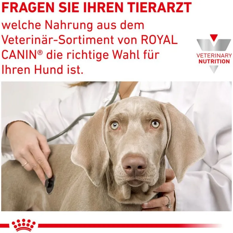 Royal Canin Veterinary Canine Anallergenic Small Dog