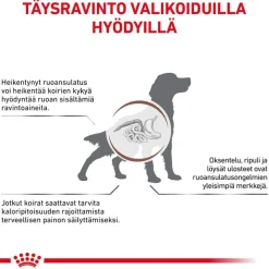 Royal Canin Veterinary Canine Gastrointestinal Moderate Calorie