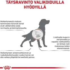 Royal Canin Veterinary Canine Hepatic