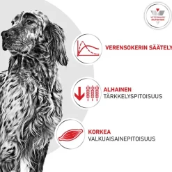 Royal Canin Veterinary Canine Glycobalance