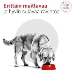 Royal Canin Veterinary Canine Glycobalance