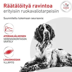 Royal Canin Veterinary Canine Glycobalance Mousse