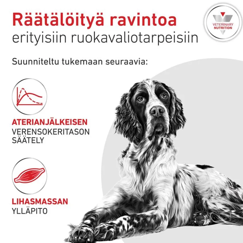 Royal Canin Veterinary Canine Glycobalance Mousse