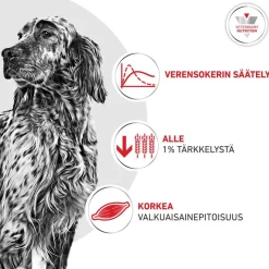 Royal Canin Veterinary Canine Glycobalance Mousse