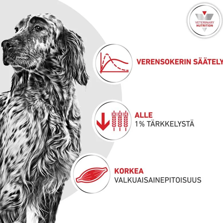 Royal Canin Veterinary Canine Glycobalance Mousse