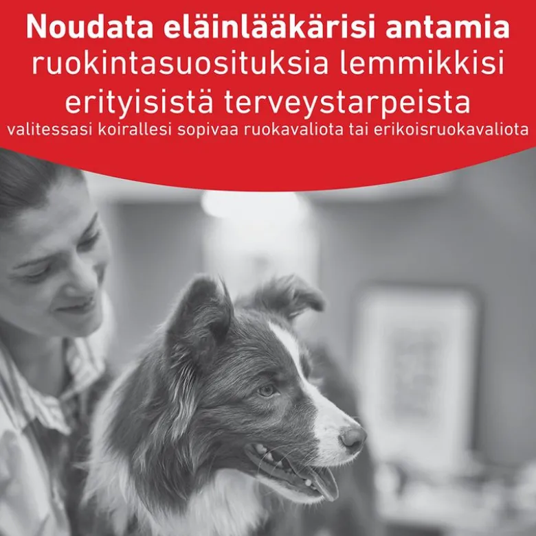 Royal Canin Veterinary Canine Glycobalance Mousse