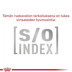 Royal Canin Veterinary Feline Gastrointestinal kastikkeessa