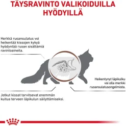 Royal Canin Veterinary Feline Gastrointestinal Fiber Response kastikkeessa
