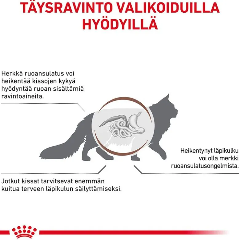 Royal Canin Veterinary Feline Gastrointestinal Fiber Response kastikkeessa