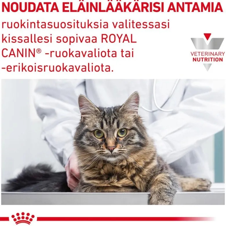 Royal Canin Veterinary Feline Gastrointestinal Kitten Ultra Soft Mousse