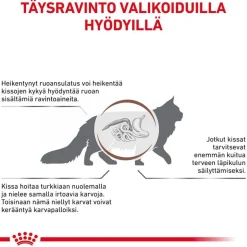 Royal Canin Veterinary Feline Gastrointestinal Hairball