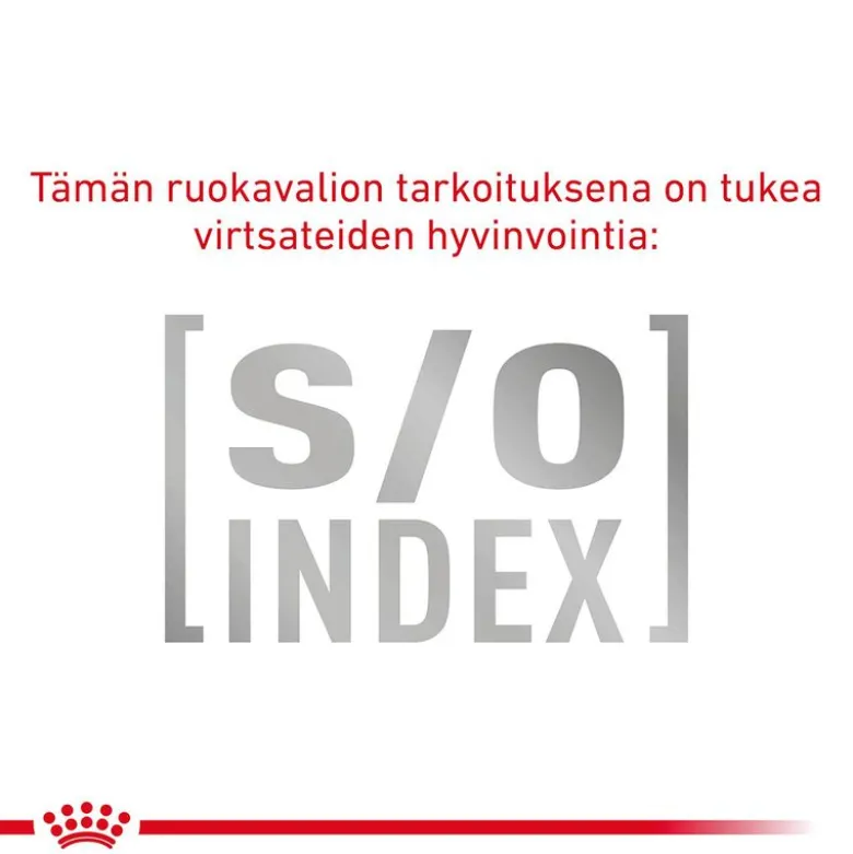 Royal Canin Veterinary Feline Gastrointestinal Fibre Response