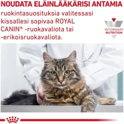 Royal Canin Veterinary Feline Gastrointestinal Moderate Calorie