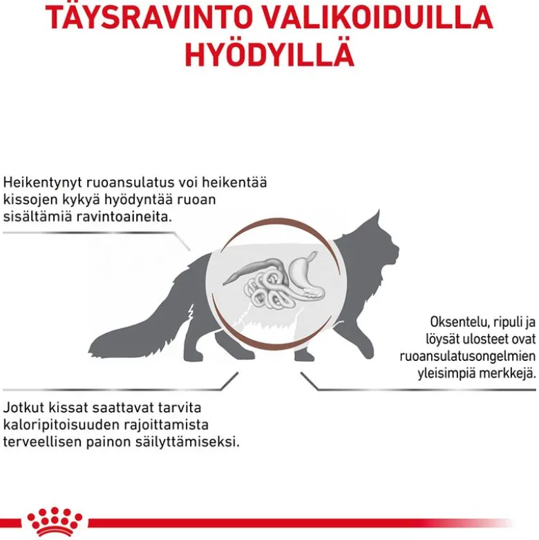 Royal Canin Veterinary Feline Gastrointestinal Moderate Calorie