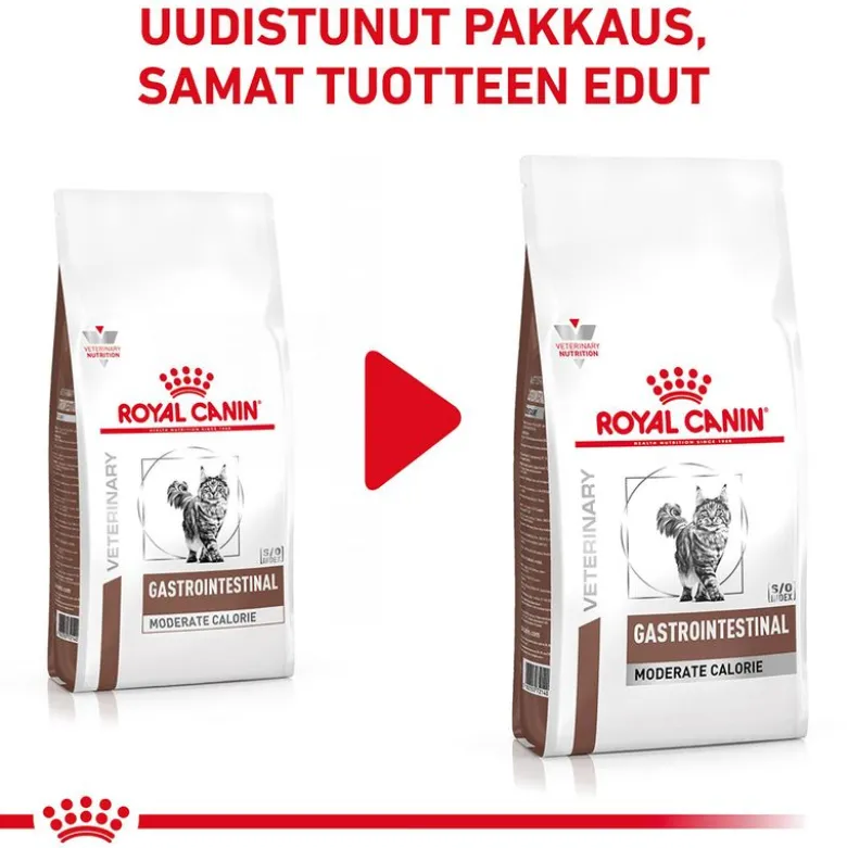 Royal Canin Veterinary Feline Gastrointestinal Moderate Calorie