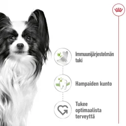 Royal Canin X-Small Adult